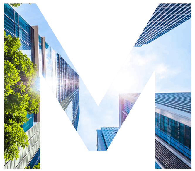 Monetics - Servicii integrate de contabilitate
